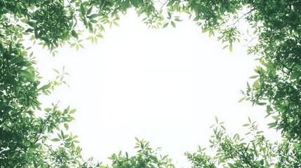 Green Leaf Frame Bright Summer Foliage Overhead