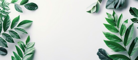 Lush green leaves in a flat lay arrangement on a white background showcasing natural beauty and ample empty copy space for design use