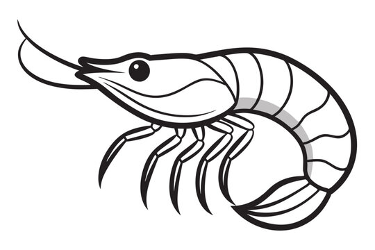 recommend clip art: shrimp line art vector , shrimp icon vector, Sea lobster 