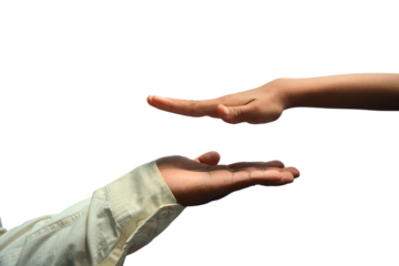 Two Hands of father and son protecting something isolated on white. Hand isolation.
