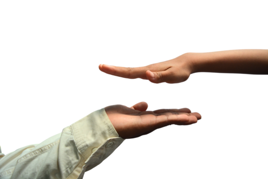 Two Hands of father and son protecting something isolated on white. Hand isolation.
