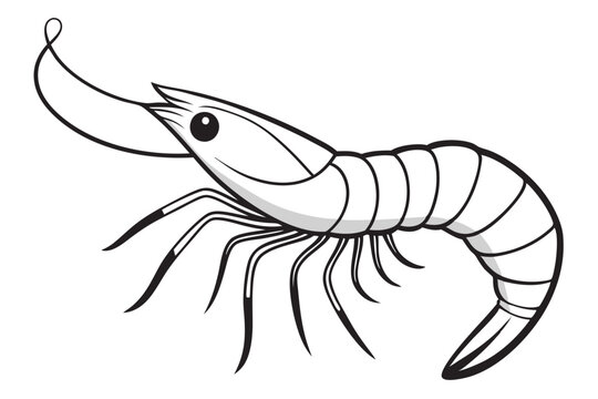 recommend clip art: shrimp line art vector , shrimp icon vector, Sea lobster 