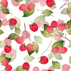 Raspberry seamless pattern with berries and leaves, hand-drawn botanical illustration