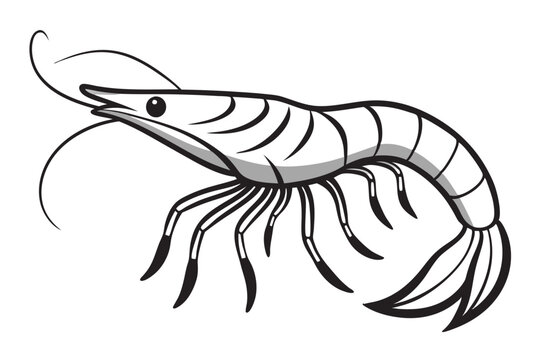 recommend clip art: shrimp line art vector , shrimp icon vector, Sea lobster 