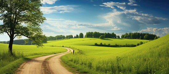 Naklejka premium Serene gravel country road winding through lush green summer fields under a bright blue sky with scattered clouds and distant trees.