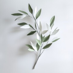 Obraz premium Origami olive branch on white background with paper leaves