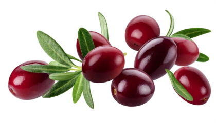 Freigestellte Kalamata Oliven: Dunkelviolett, mandelförmig und aromatisch, ideal für Salate, Antipasti und mediterrane Gerichte aus Griechenland
