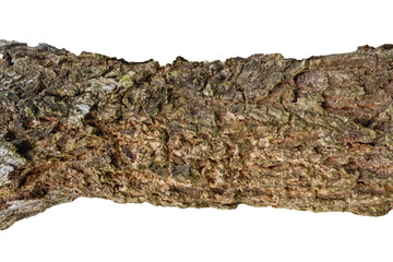 Cracked Tree Bark Texture for Creative Projects and Text Placement