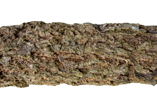 Cracked Tree Bark Texture for Creative Projects and Text Placement