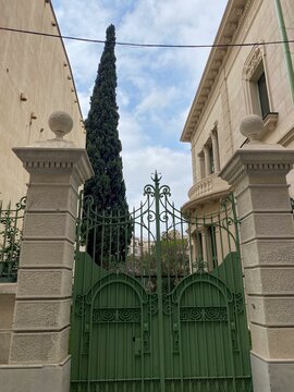 Grand ornate green gate with tall cypress tree, Mediterranean architecture, peaceful urban retreat