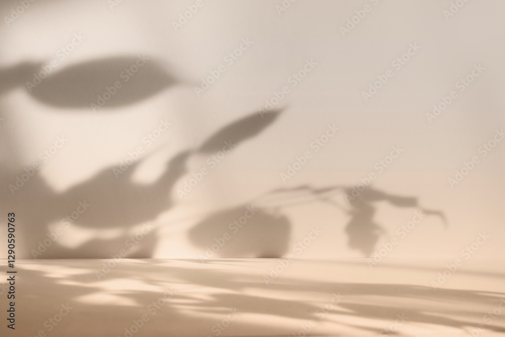 Poster Abstract beige color gradient studio background for product presentation. Empty room with shadows of flowers and plant leaves. 3d brown room with copy space. Summer concept. Blurred backdrop
