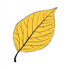 Autumn leaf design in vector art illustration clipart format