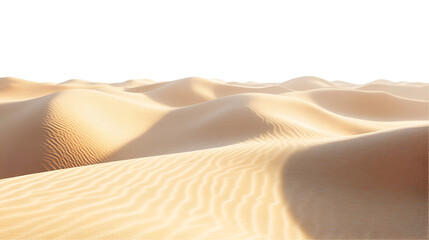 sand dunes in the desert