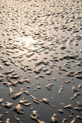 Natural texture: top view of beach sand, clear, clean and smooth. Minimalist background for summer concepts, travel, vacations and outdoor enjoyment.