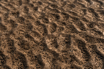Natural texture: top view of beach sand, clear, clean and smooth. Minimalist background for summer concepts, travel, vacations and outdoor enjoyment.