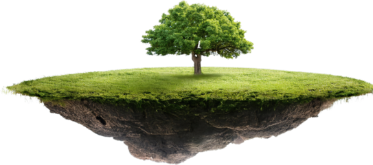 Floating Island with Lush Green Grass Single Tree and Exposed Soil Environmental Concept