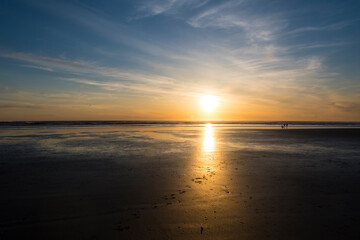 This stunning image captures a golden sunset reflecting over a tranquil beach, highlighting the...