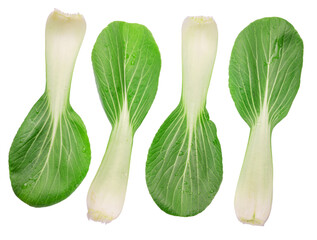 Fresh bok choy leaves or chinese cabbage leaves isolated on white background. File contains clipping paths.
