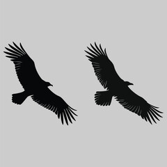 a vulture circling in the sky. silhouette vector design art and illustration