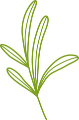 vector illustration flower