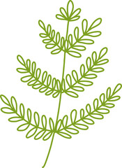 vector illustration flower