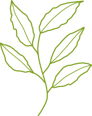 vector illustration flower