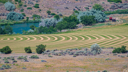An aerial view of meticulously patterned farmland, showcasing the harmonious lines of crops and...