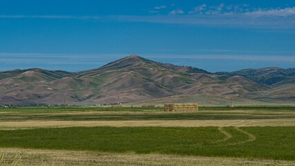 An idyllic rural landscape showcasing rolling green hills dotted with hay bales, embodying the heart of countryside life and evoking feelings of peace and prosperity.
