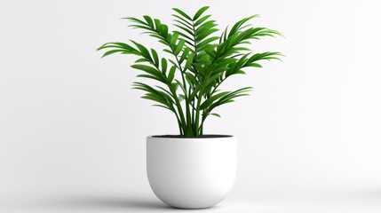 Minimalist Home Decor  Green Plant in White Pot  Modern Interior  Natural