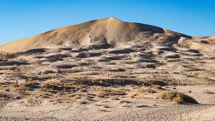 A stunning view of undulating desert dunes highlighted by the warm tones of sunset, showcasing their intricate textures and patterns against a vibrant blue sky.