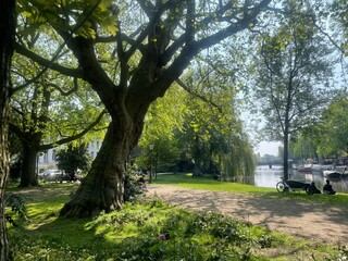 spring in the park
