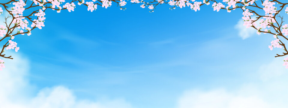 Spring banner,Sky Blue,Cloud ,Blossom Cherry branches,Vector Pink Sakura flowers Border Frame against Sky, Cloudy with copy space for Easter Product Design Background,Cartoon Beauty Nature Background