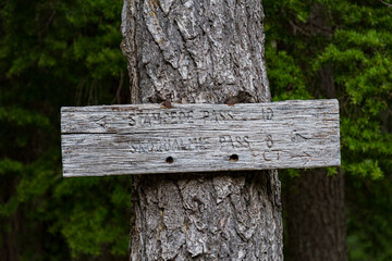 A rustic wooden sign mounted on a tree showing directions to popular destinations, emphasizing the beauty of outdoor recreation and nature exploration.