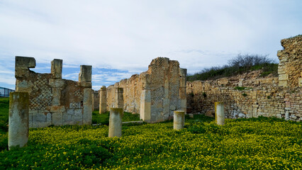 L'area archeologica di Bulla Regia,con i resti dell'antica città Romana e le abitazioni...