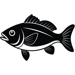 Minimalist Bass Fish Graphic