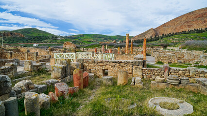 L'area archeologica di Bulla Regia,con i resti dell'antica città Romana e le abitazioni...