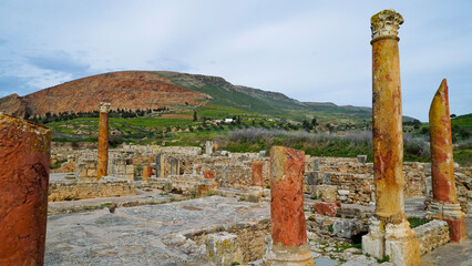 L'area archeologica di Bulla Regia,con i resti dell'antica città Romana e le abitazioni...