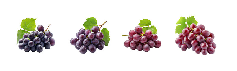 Fototapeta premium Fresh Bunches of Grapes in Varied Colors and Textures Displayed