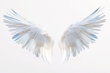 Elegant white wings spread wide, showcasing intricate feather de
