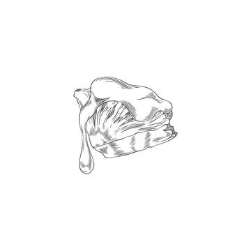 sketchy cake with dripping icing clip art preview