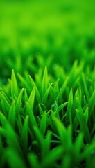 Fototapeta premium Lush green grass, close-up texture High-resolution detail , leaf, background, backdrop