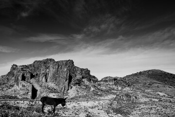 L'area archeologica di Chemtou,con i resti dell'antica città Romana e le miniere di estrazione...