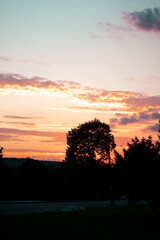A stunning sunset with vibrant orange and pink hues, silhouetted trees, and a peaceful evening sky over a quiet landscape