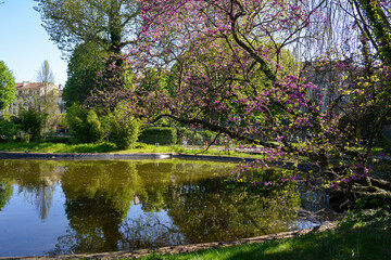 Parc, Mairie, chateau, Choisy le Roi, Val de Marne, France