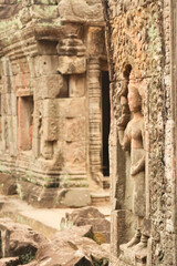 Inside the Prasat Preah Khan temple, an apsara is carved into a sandstone wall overgrown with red and green moss, lichens, Angkor Wat, Siem Reap, Cambodia