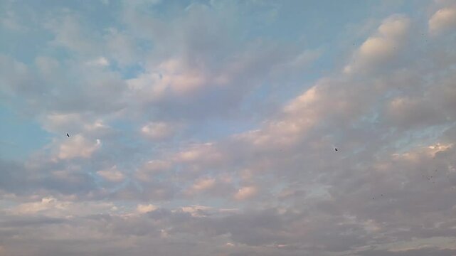 Cloud's time lapse, Beautiful Cloudy Sky with Birds in Flight &ndash; Peaceful Nature Background
Serene Evening Sky with Soft Clouds and Flying Birds &ndash; Tranquil Atmosphere
Dramatic Cloudscape with Birds Soa