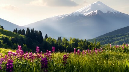 Obraz premium Majestic Mountain Sunrise Wildflowers Peaks Spring Landscape