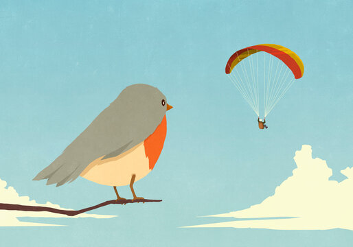 Curious bird perched on branch watching parachuter in blue sky
