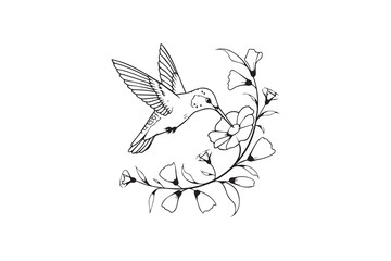 Obraz premium Graceful Hummingbird Feeding on Flowers vector