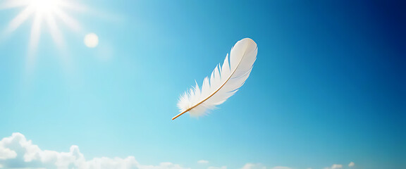 Floating Feather in the Sky
